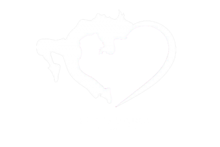 I love Dance Alcorcón